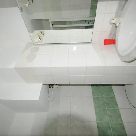 Le Petit Palais Apartment *